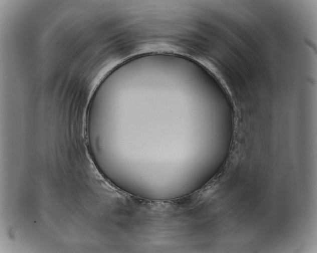 X0000100850815200807111214