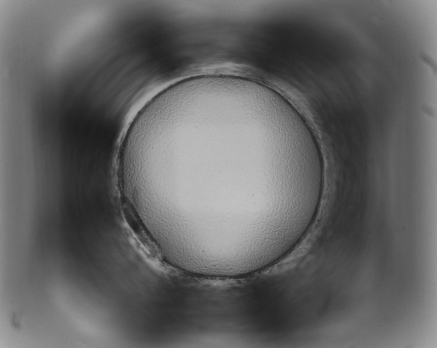 X0000100850816200807111214