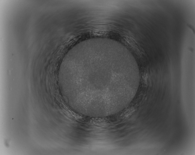 X0000100850817200807111213