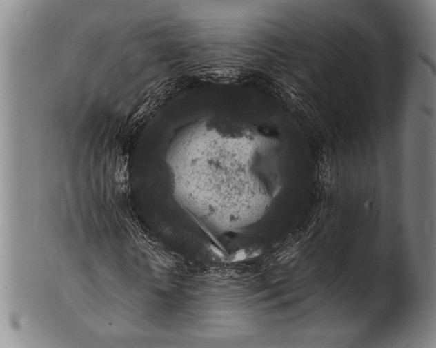 X0000100850818200807111213