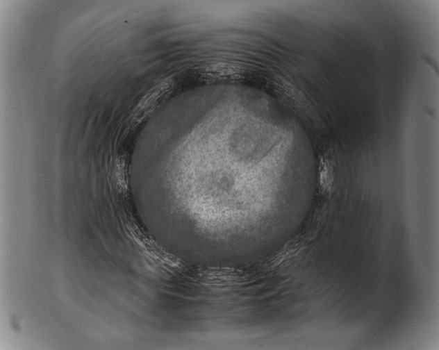 X0000100850819200807111214