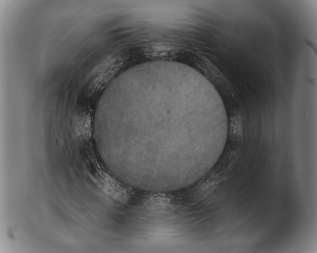 X0000100850820200807111214