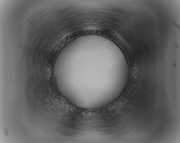 X0000100850821200807111214