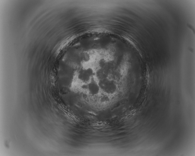 X0000100850823200807111214