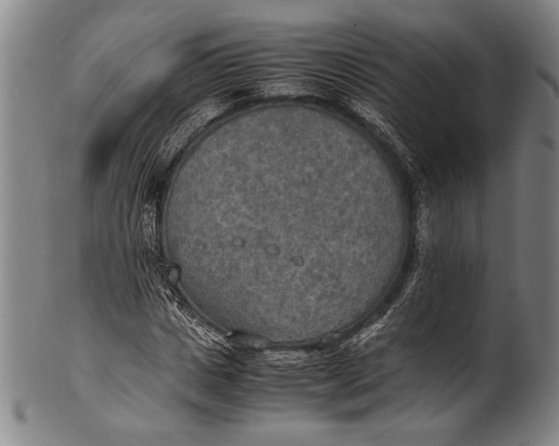 X0000100850825200807111214