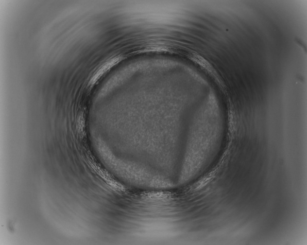 X0000100850826200807111214