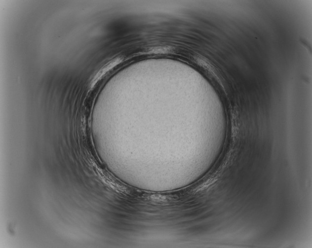 X0000100850827200807111214