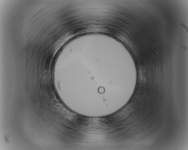 X0000100850828200807111214