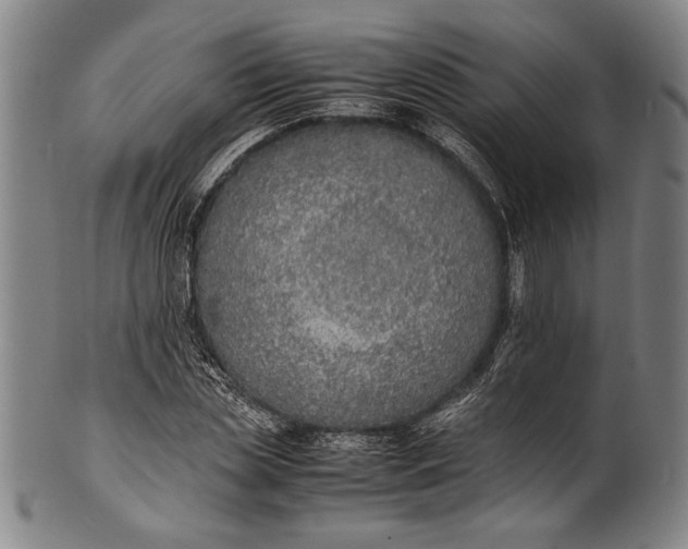 X0000100850829200807111214