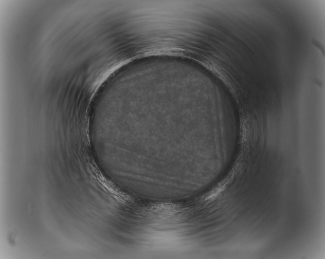 X0000100850830200807111214