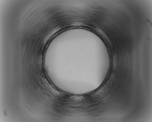 X0000100850831200807111214