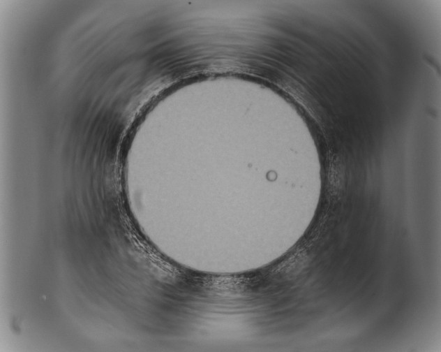 X0000100850832200807111214