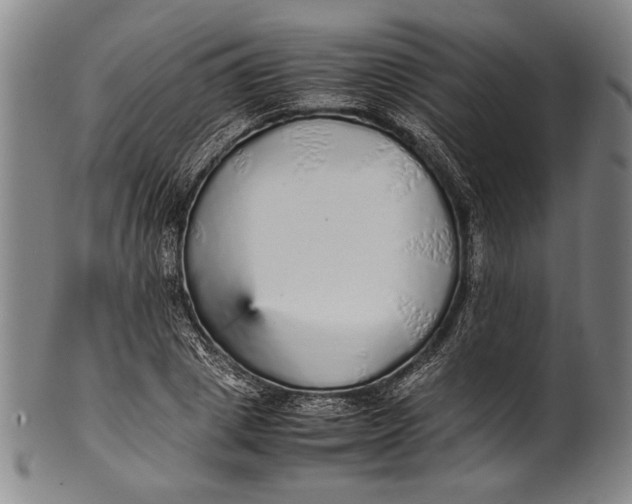 X0000100850833200807111214