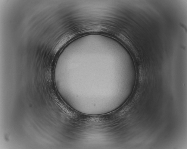 X0000100850834200807111214