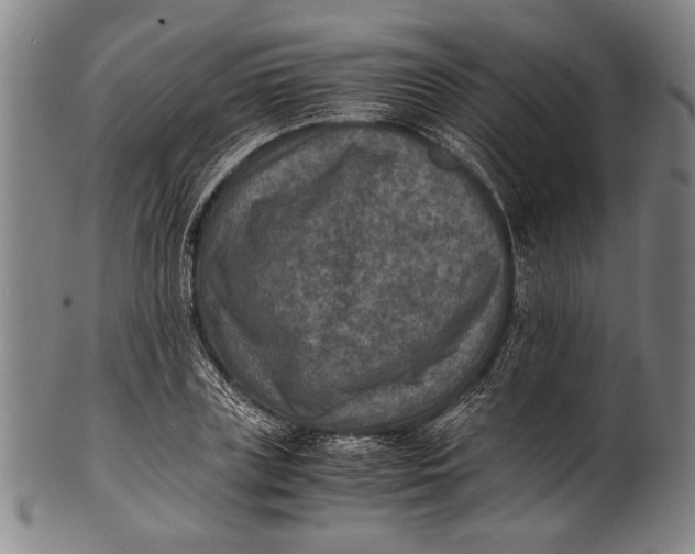 X0000100850835200807111214