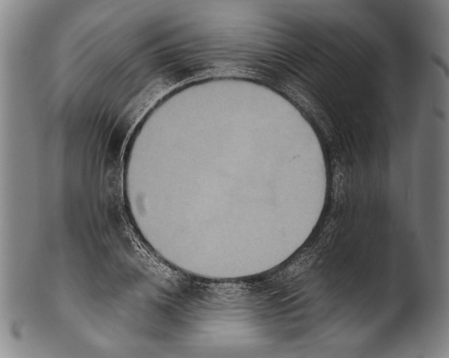 X0000100850836200807111214