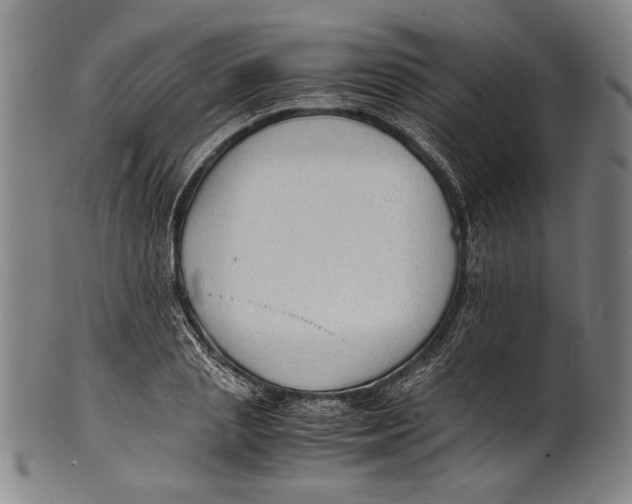 X0000100850837200807111214