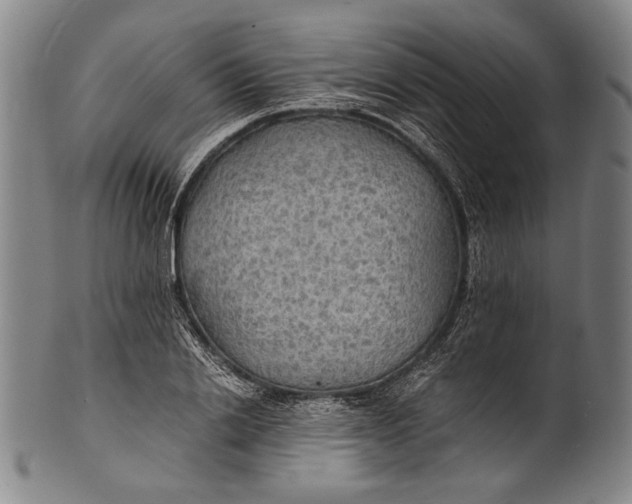 X0000100850838200807111214