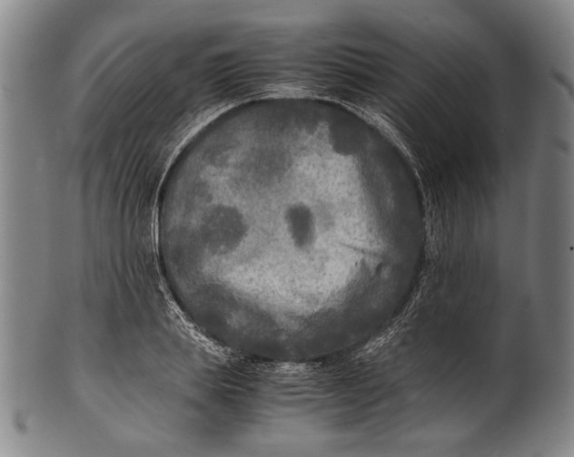 X0000100850839200807111214