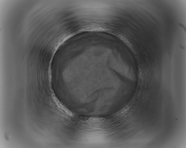 X0000100850840200807111214