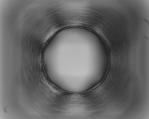 X0000100850842200807111214