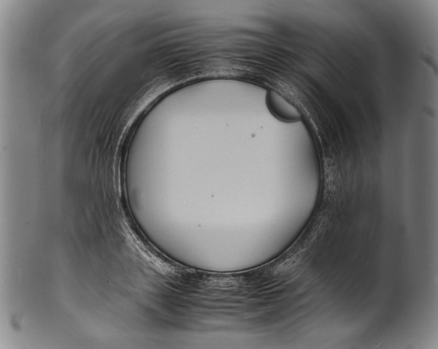 X0000100850843200807111214