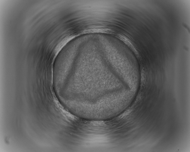 X0000100850844200807111214