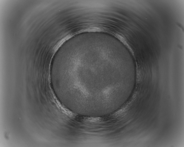 X0000100850845200807111214