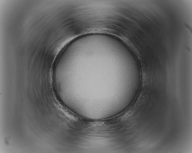 X0000100850846200807111214