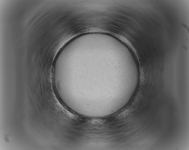 X0000100850847200807111214