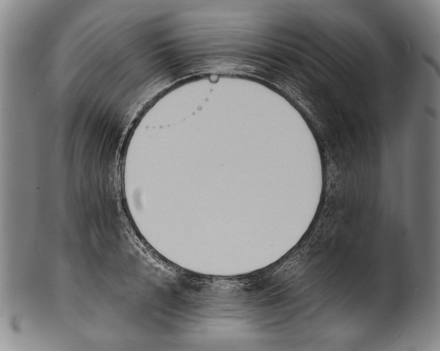 X0000100850848200807111214