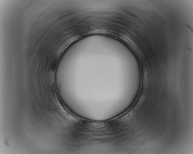 X0000100850849200807111214