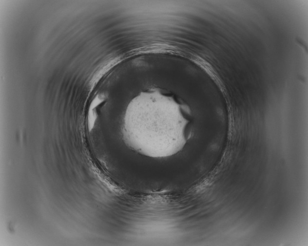 X0000100850850200807111214