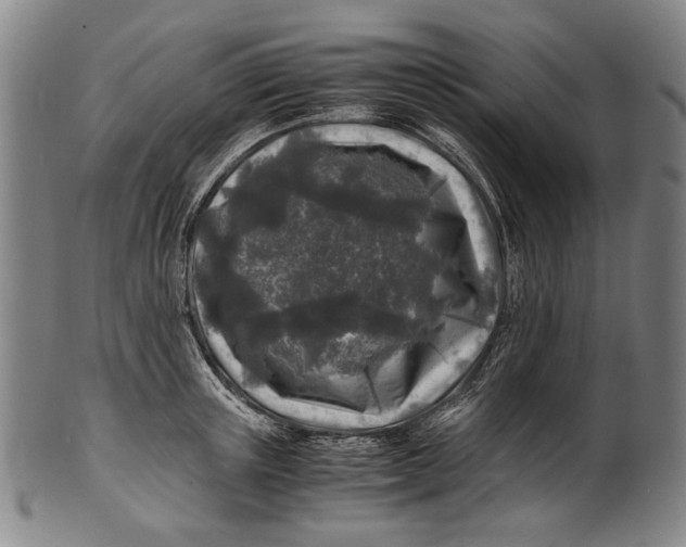 X0000100850851200807111214