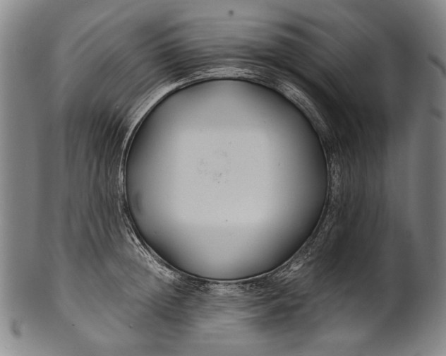 X0000100850852200807111214