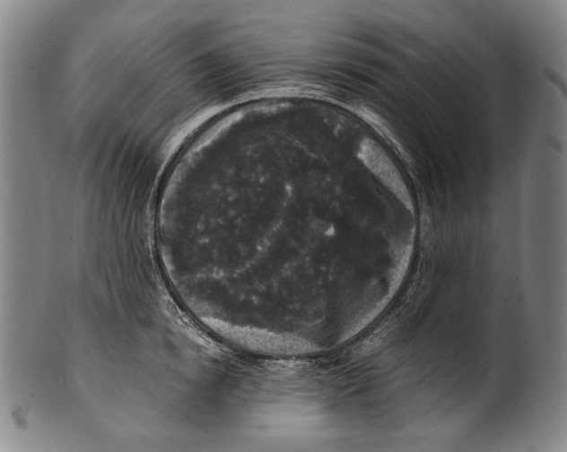 X0000100850854200807111214