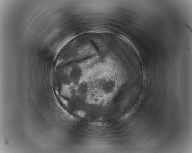 X0000100850855200807111214