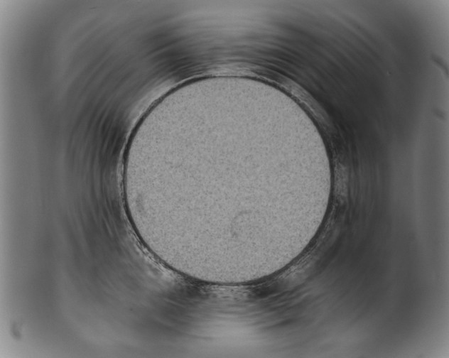 X0000100850856200807111214