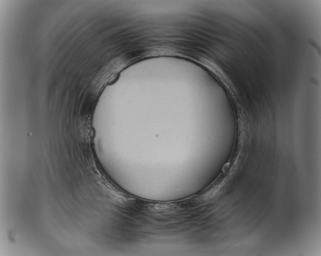 X0000100850857200807111214