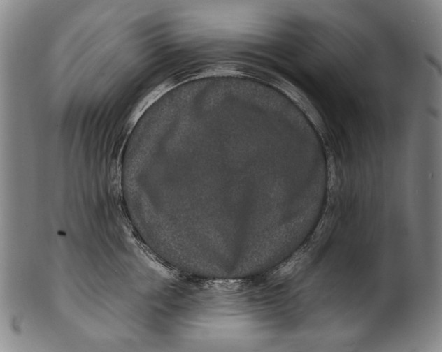 X0000100850858200807111214