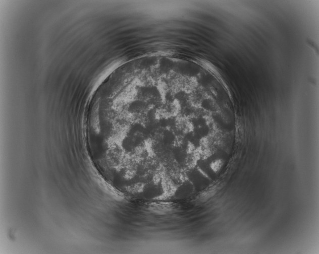 X0000100850859200807111214