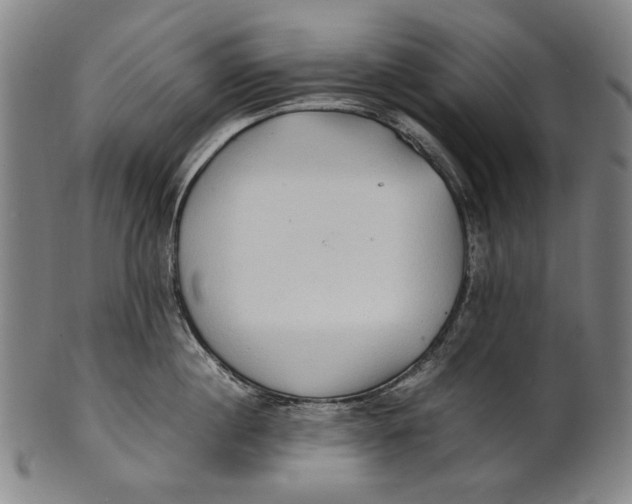 X0000100850860200807111214