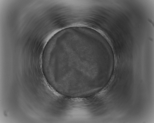 X0000100850862200807111214