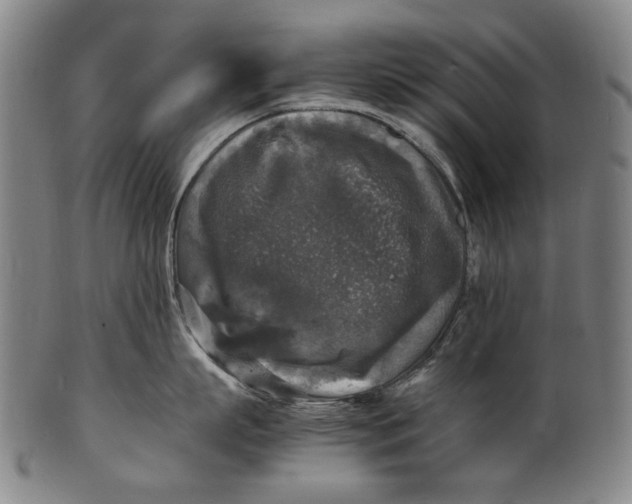 X0000100850863200807111214