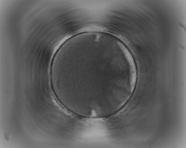 X0000100850864200807111214