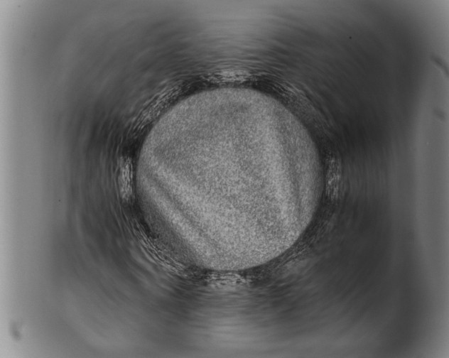 X0000100850866200807111213