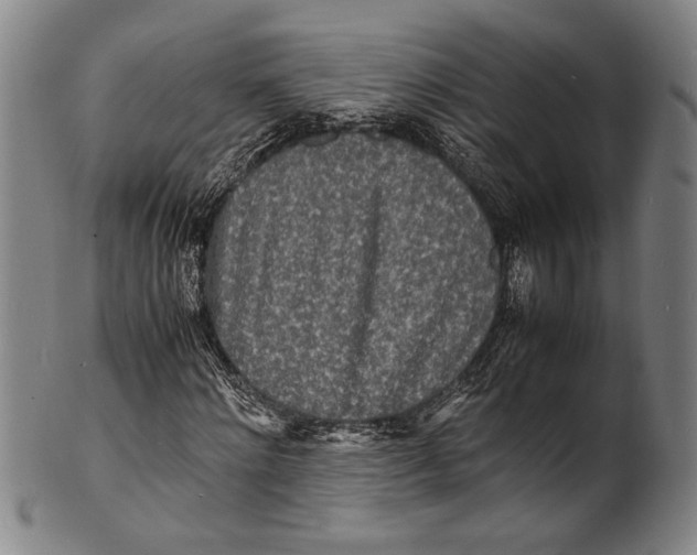 X0000100850868200807111213