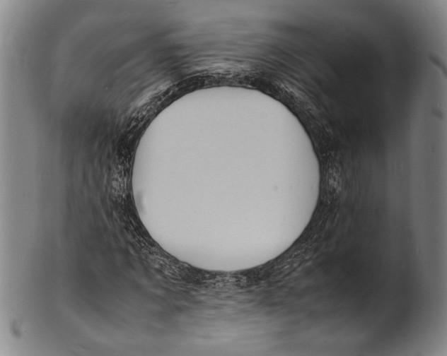 X0000100850869200807111213