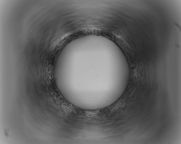 X0000100850870200807111213