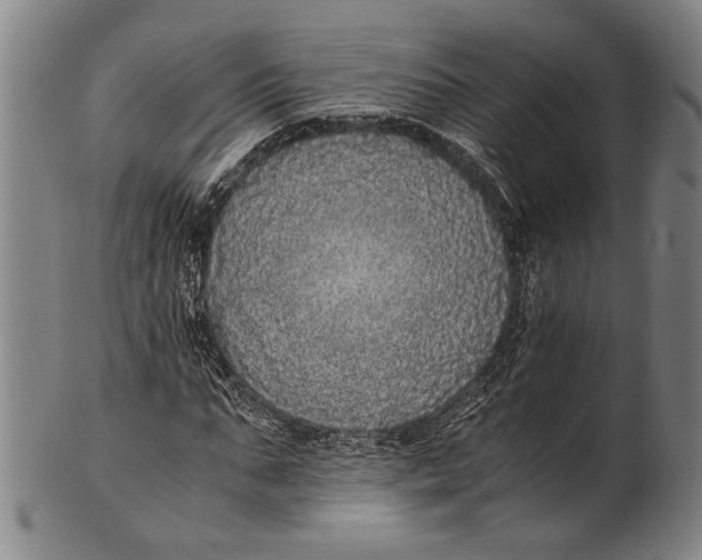 X0000100850871200807111213